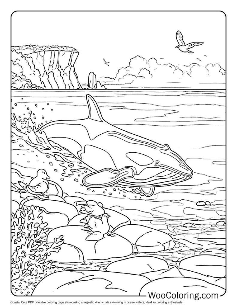 Killer Whale Coloring Page