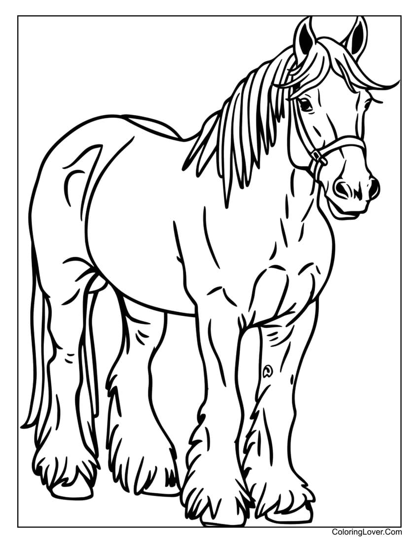 printable horse coloring pages