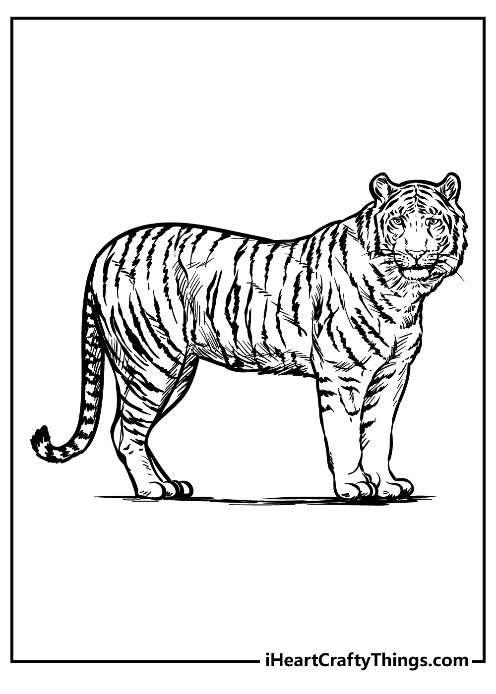 zoo animal coloring sheets