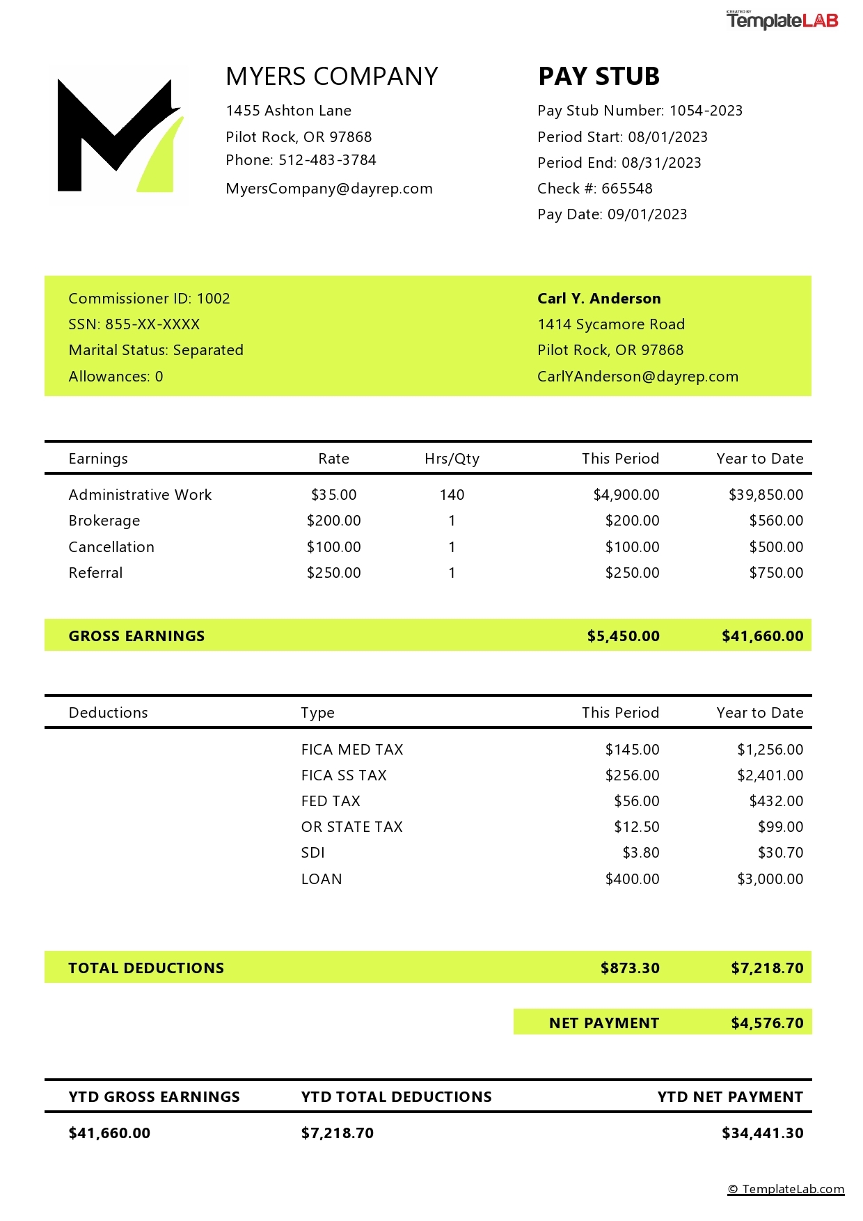 truck driver pay stub template