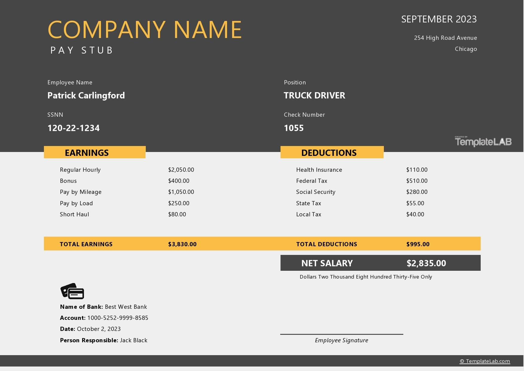 24 Free Pay Stub Templates Word Excel PDF TemplateLab