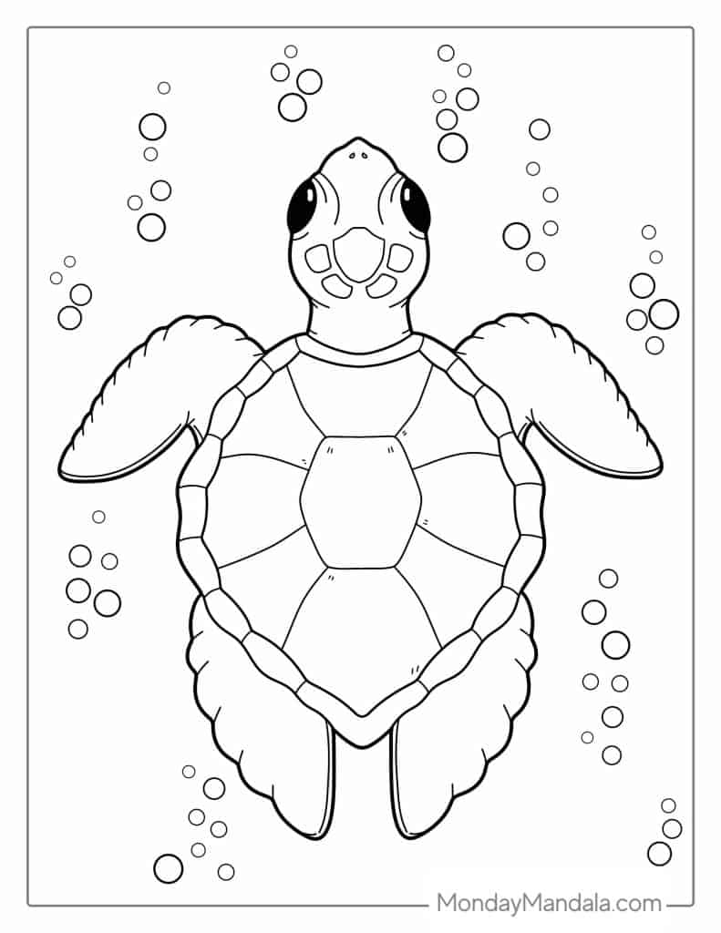 36 Turtle Coloring Pages Free PDF Printables 36 Turtle Coloring Pages Free PDF Printables