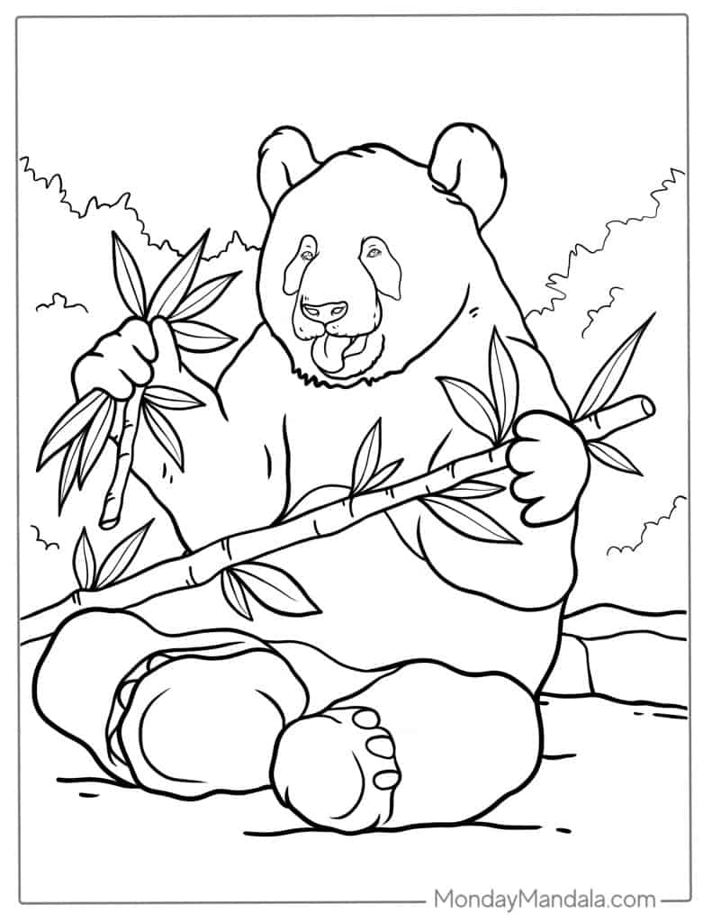 coloring pages of panda bears