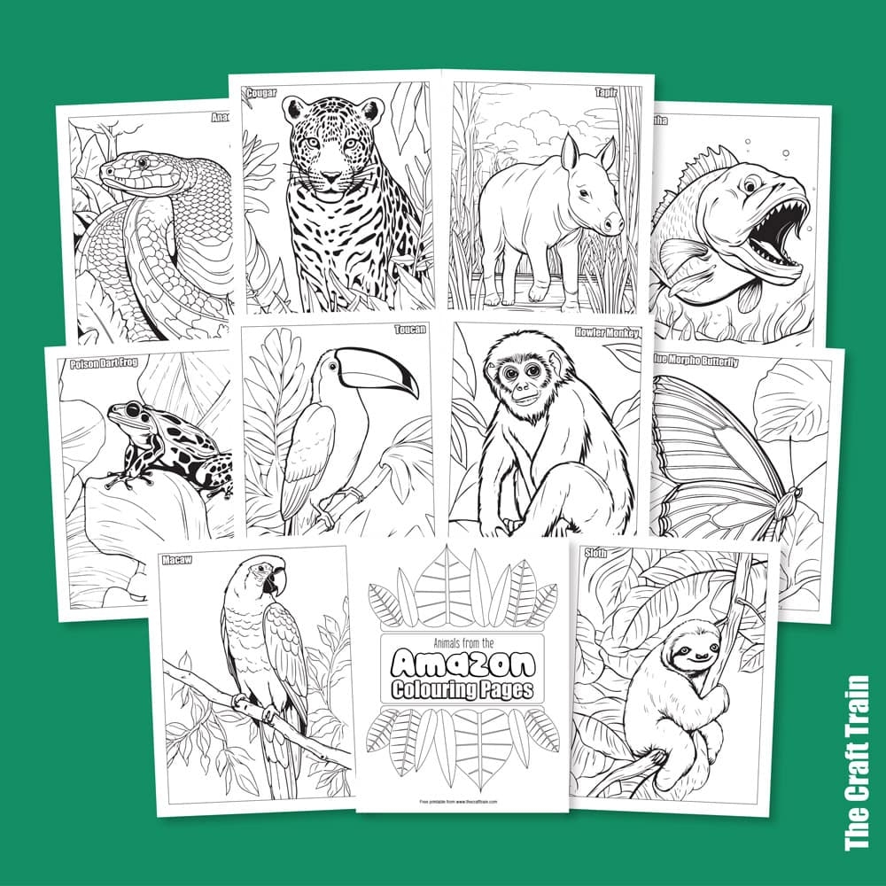 Coloring Pages Of Rainforest Animals Free Printable