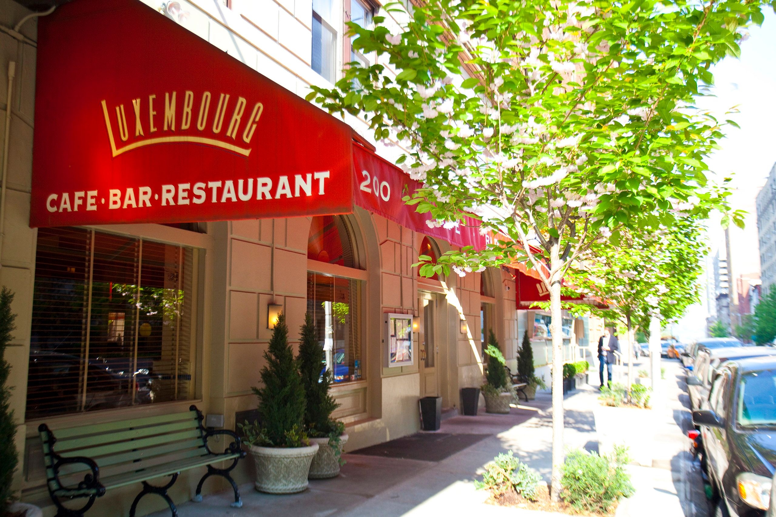 Caf Luxembourg And The Art Of The Restaurant That Never Changes The New Yorker