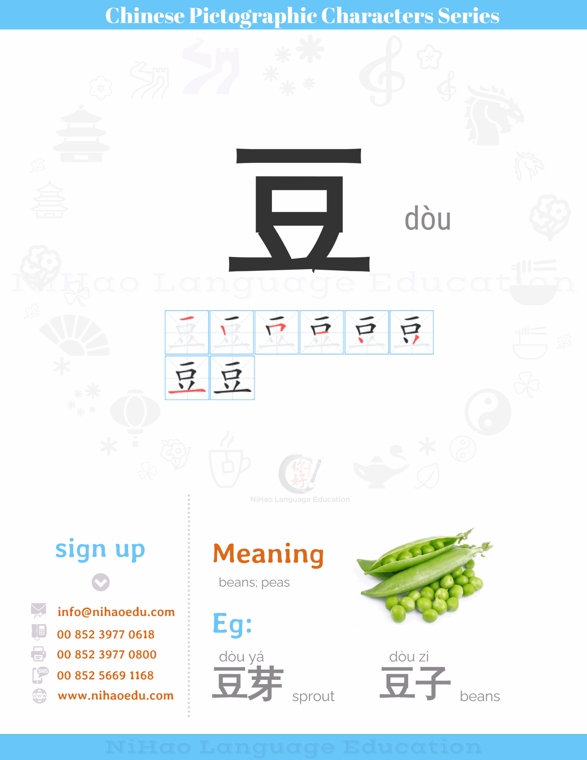 Chinese Radicals Series d u NIHAO LANGUAGE EDUCATION