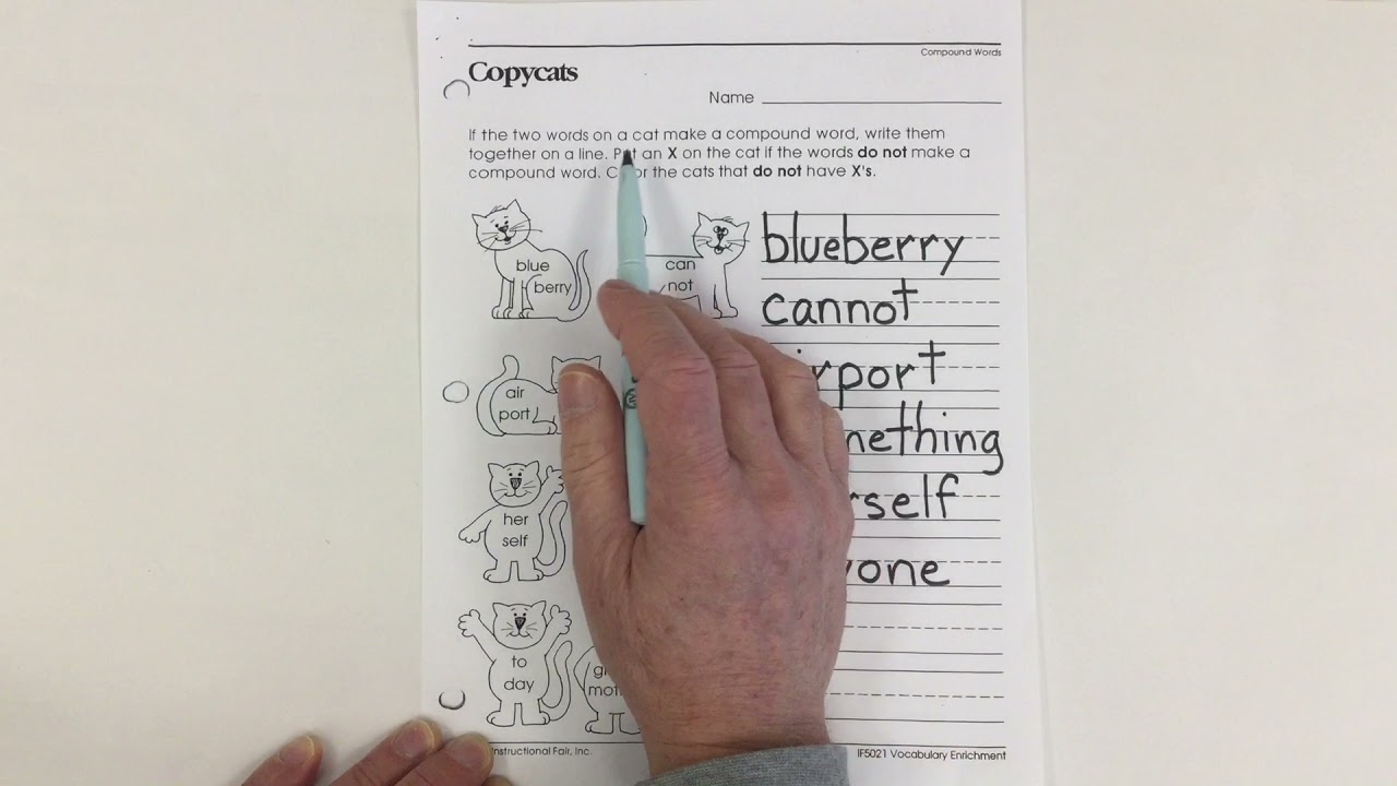 words with cat in them words with cat in them