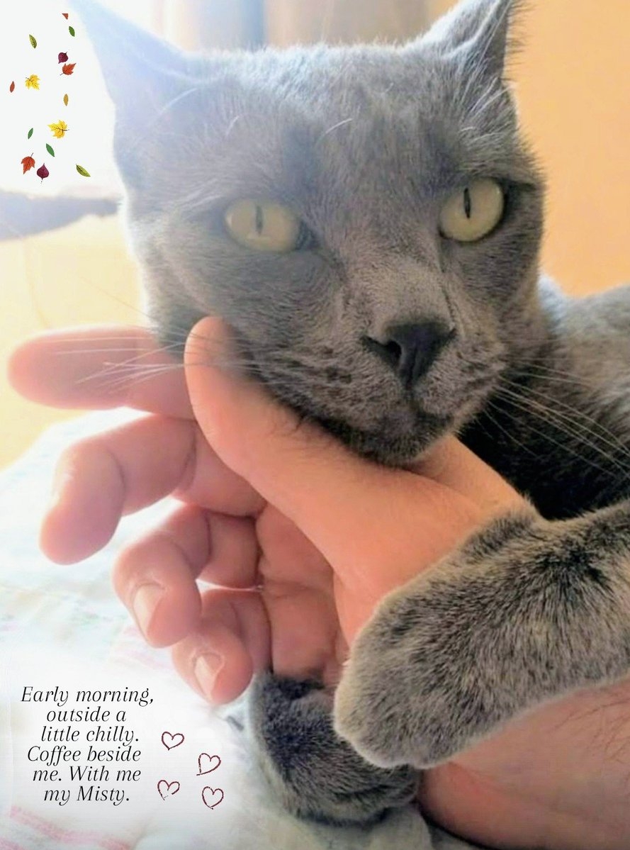 Dante On X Dante On X