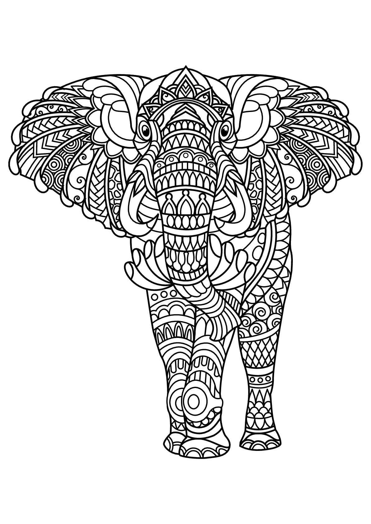 Elephant Elephant Coloring Pages