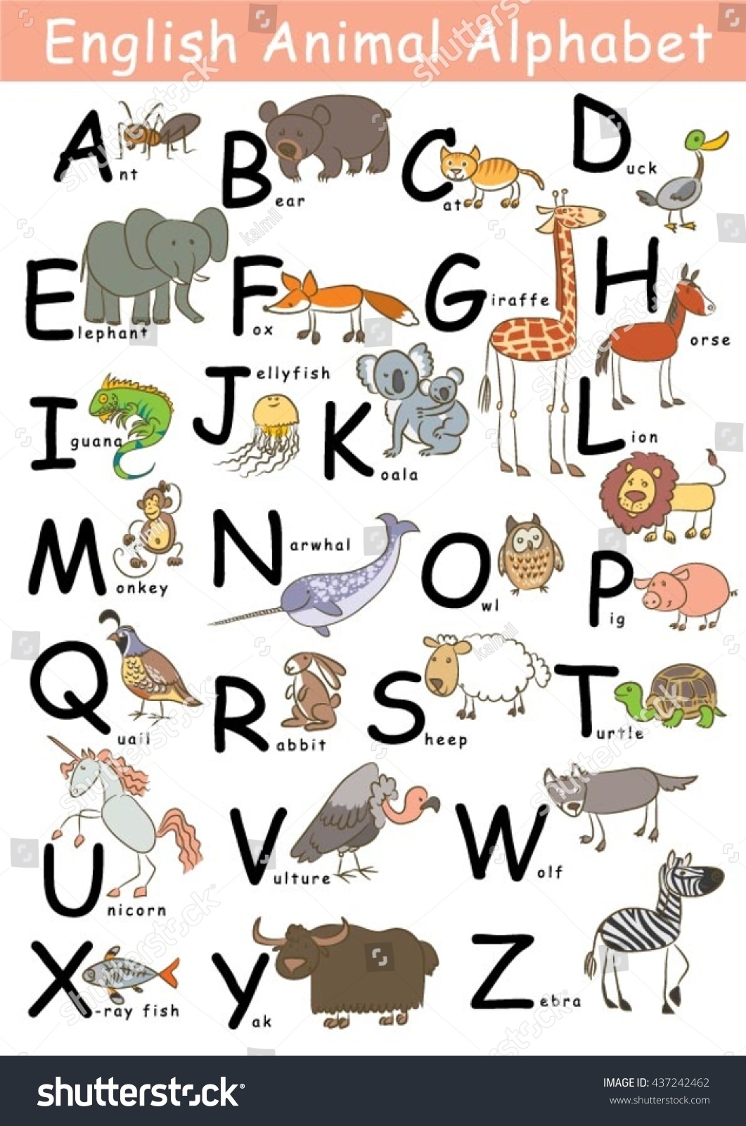 A To Z Animals