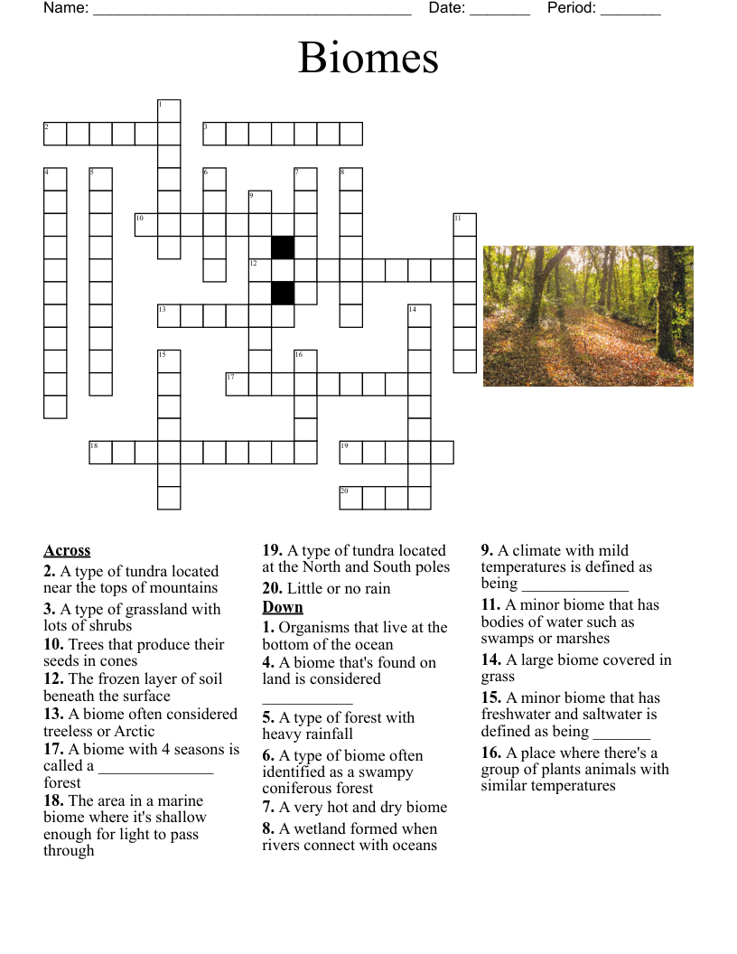 Estuaries Crossword WordMint