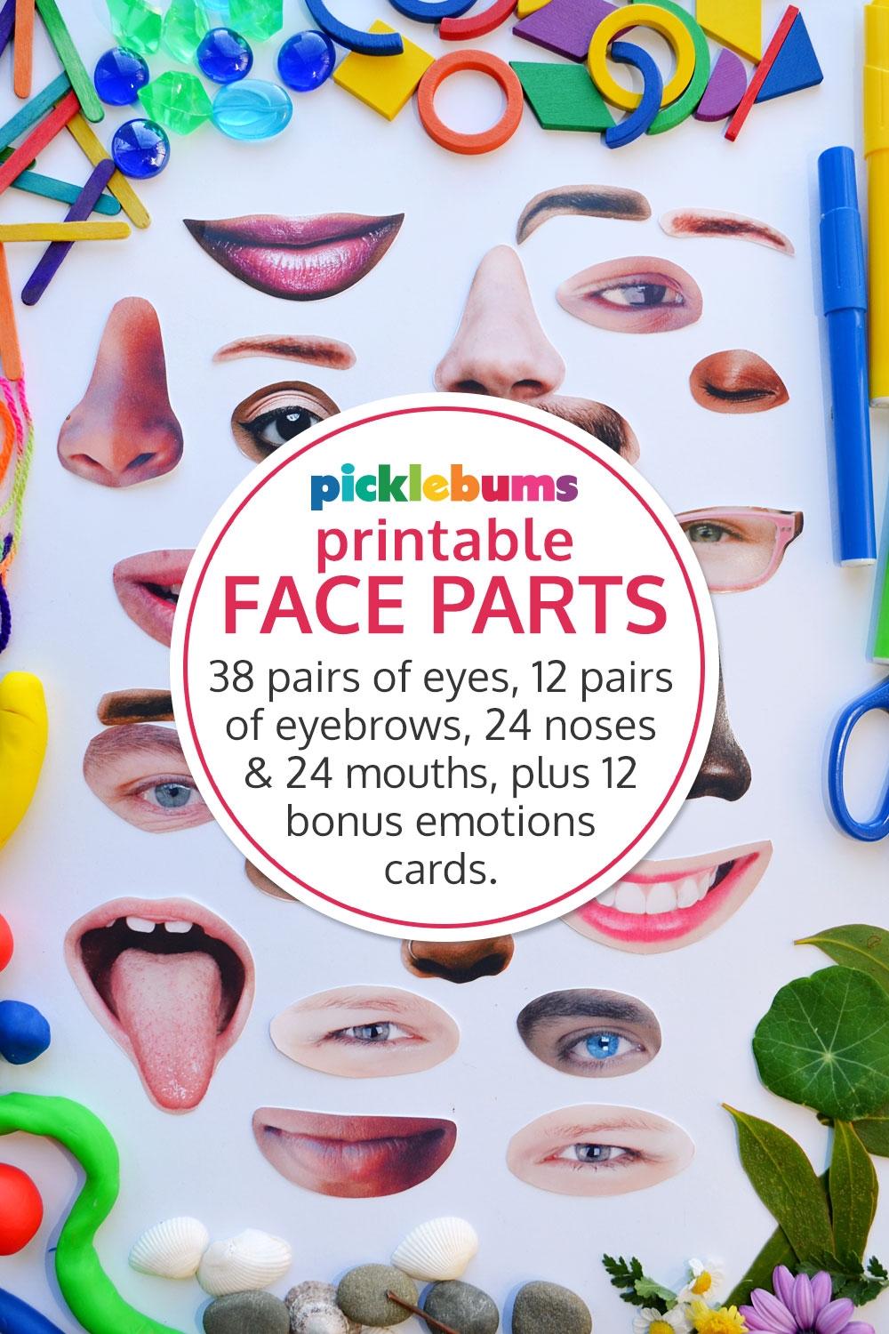 Face Parts Printable Picklebums Playful Printables Shop