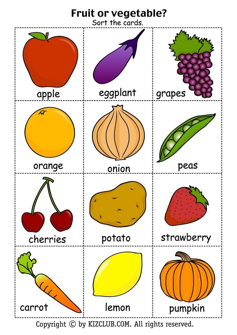 Fall Vegetable And Fruit 10 Free PDF Printables Printablee Worksheets Library