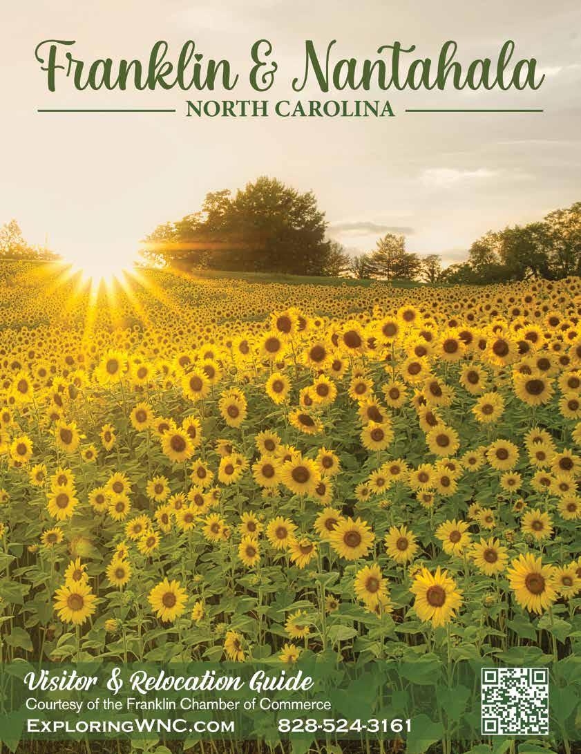 Franklin NC Mountain Town Charm Stunning Views Vignette Realty