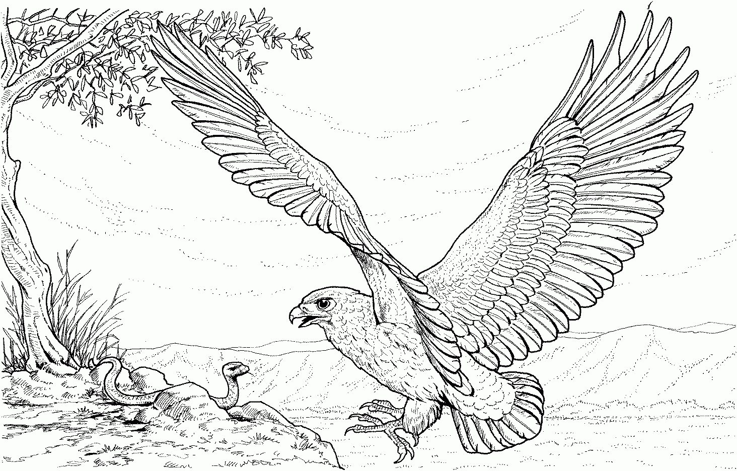 printable eagle coloring pages
