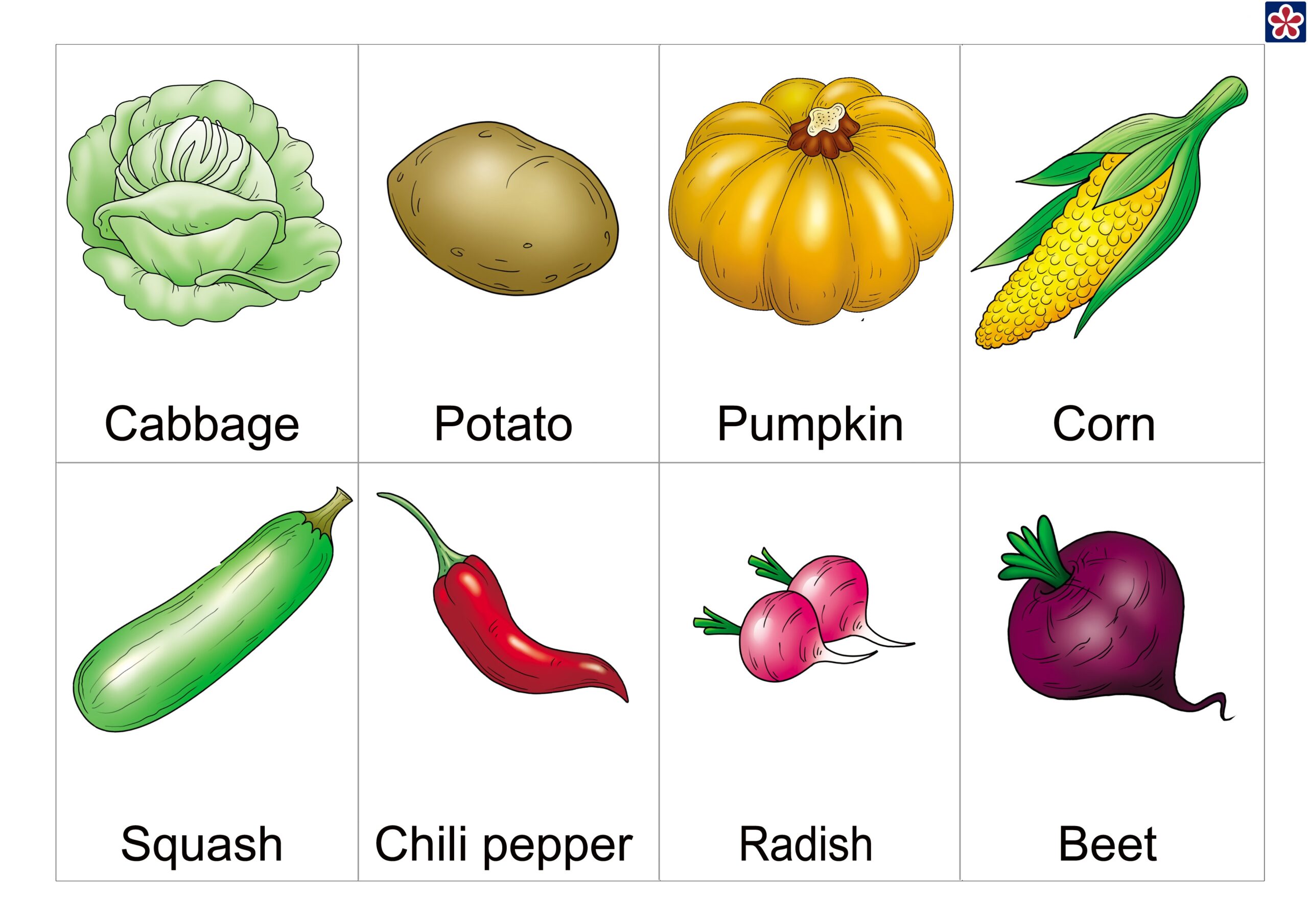 free printable pictures of fruits and vegetables