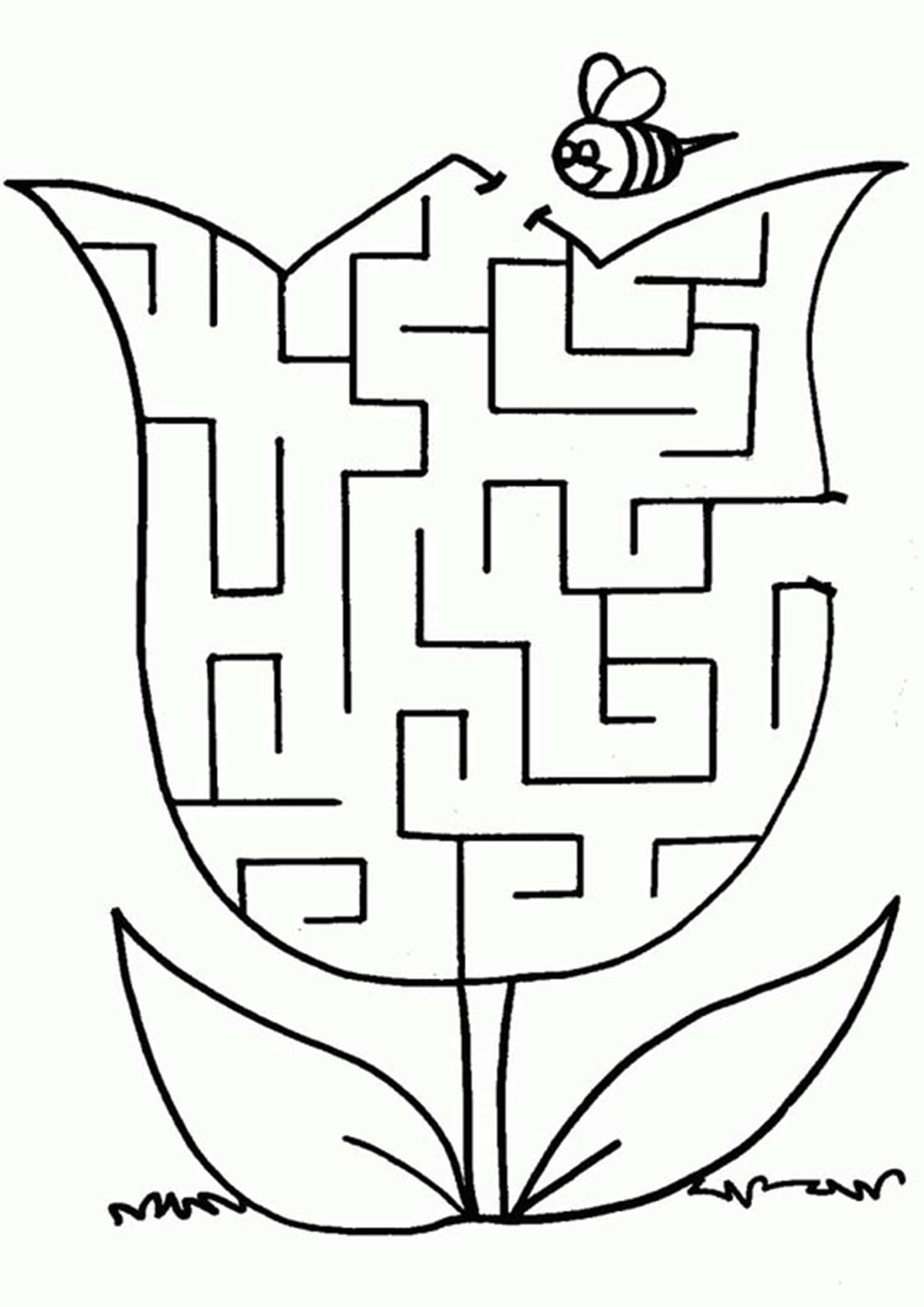 Free Printable Mazes For Kindergarten