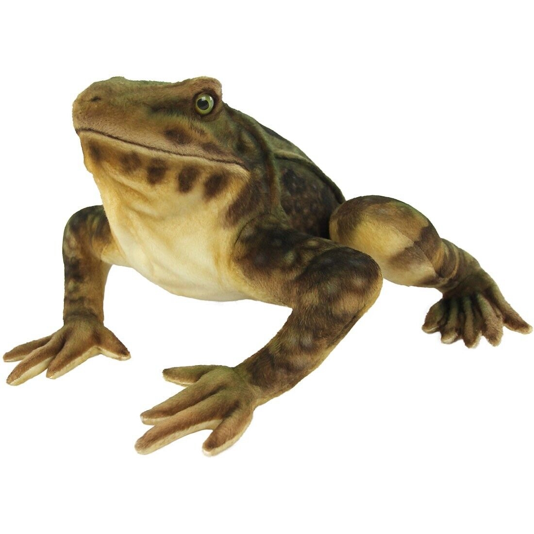 HANSA GOLIATH FROG 60 BH8575 Realistic Plush Animals From JAPAN EBay