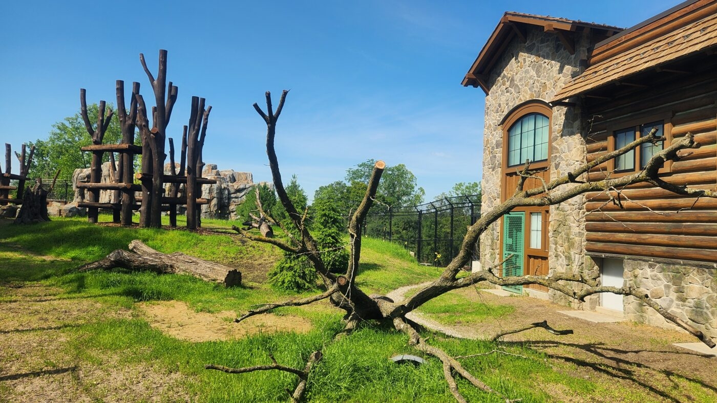 Inside The Epic New North America Trek At The Columbus Zoo And Aquarium Coaster101