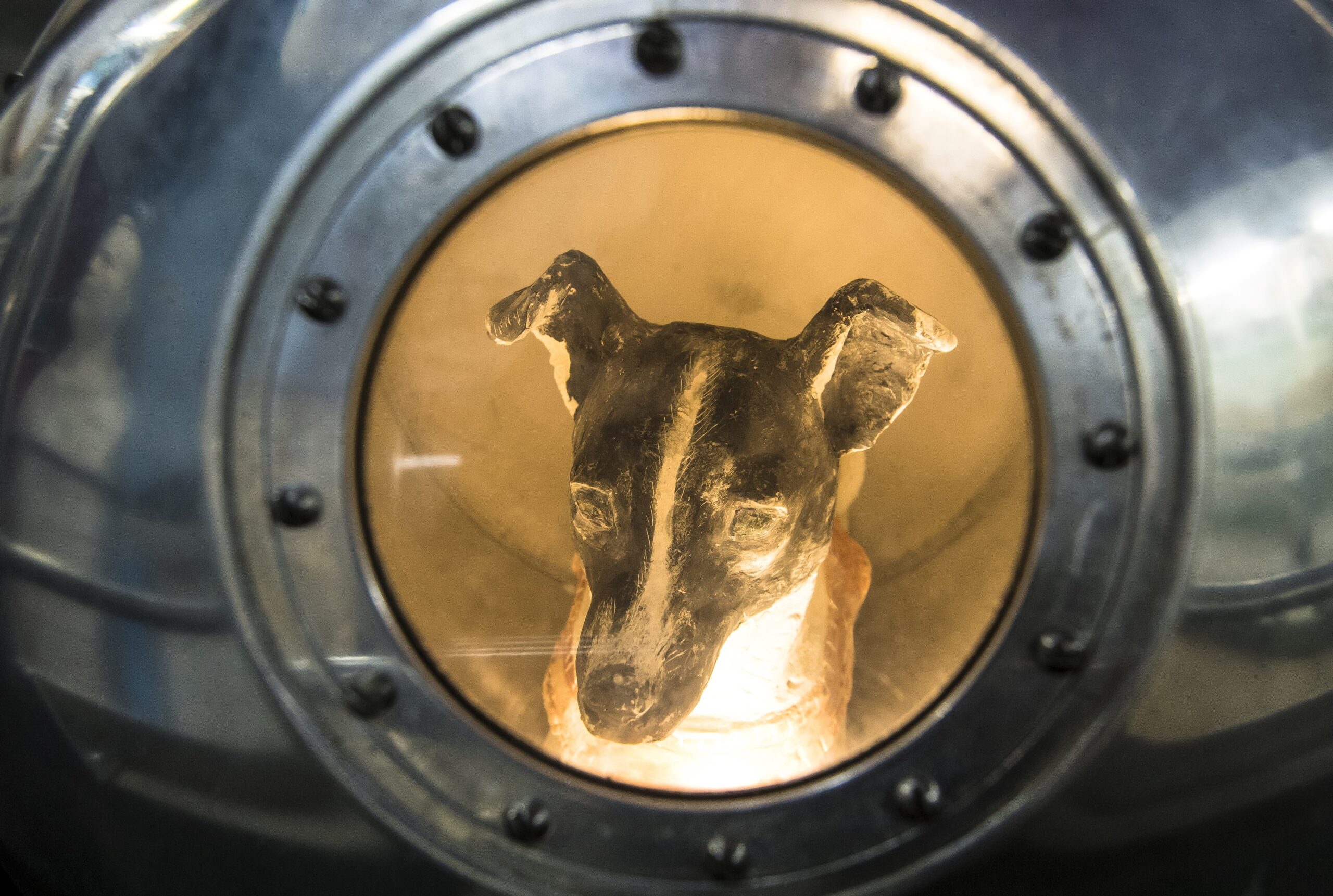 Laika The Space Dog First Living Creature In Orbit Space