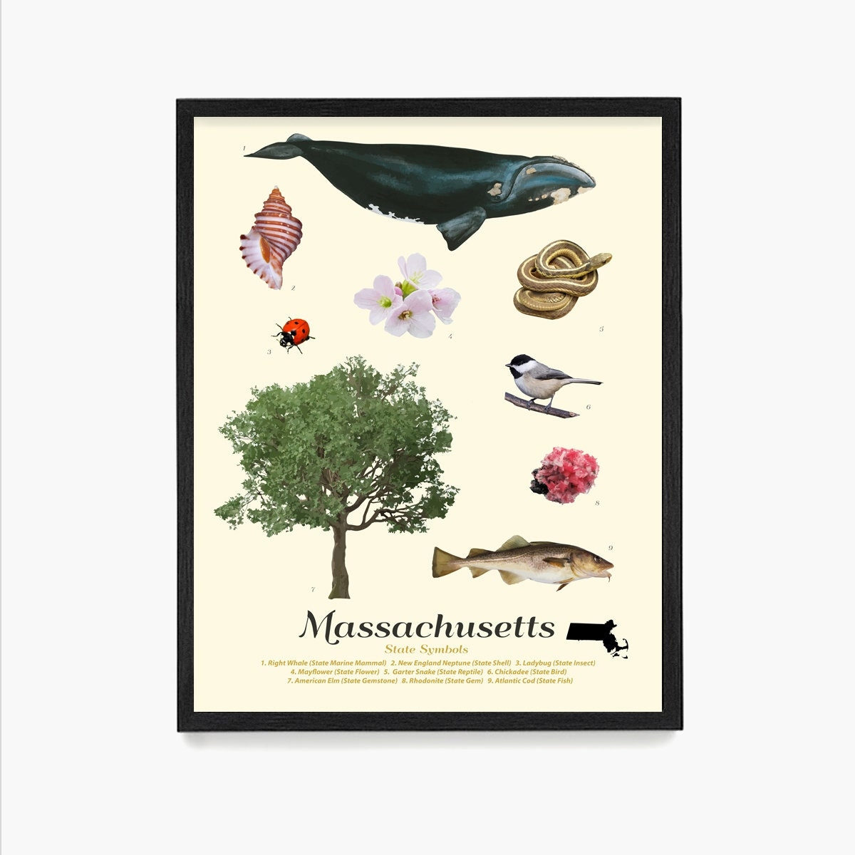 Massachusetts State Symbols Art Print Typology Wall Art Etsy Massachusetts State Symbols Art Print Typology Wall Art Etsy
