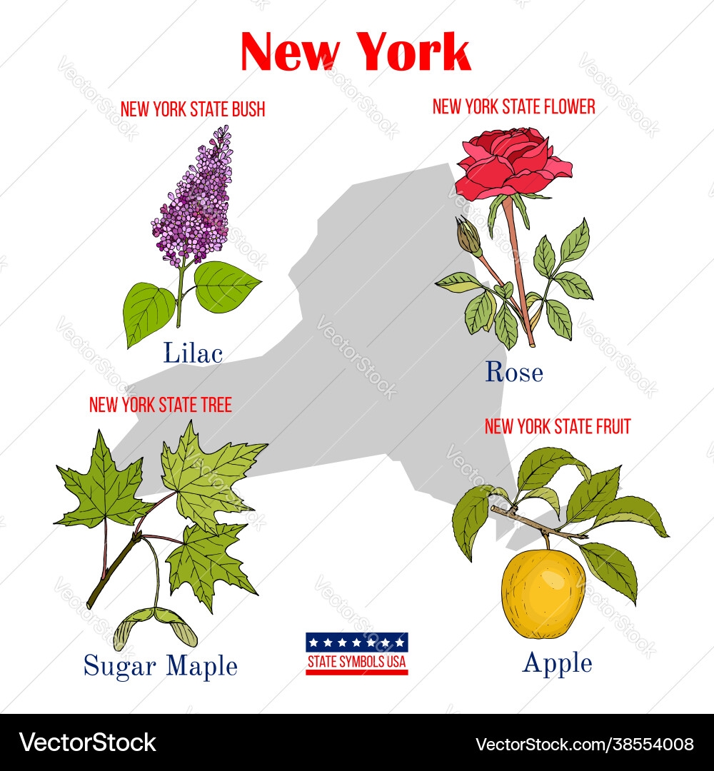 New York State Symbols Royalty Free Vector Image