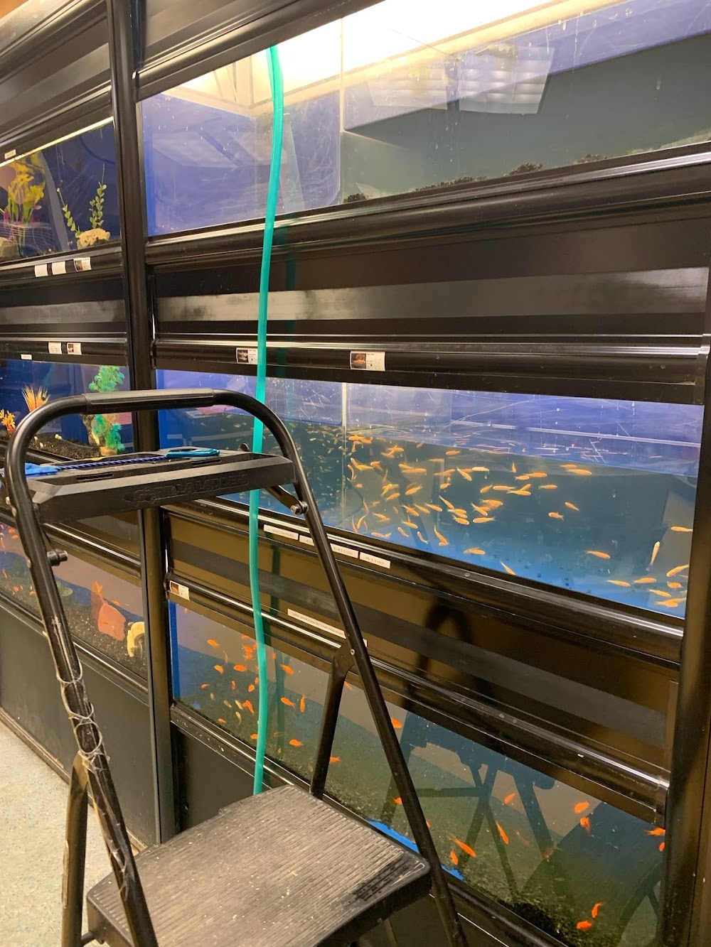 Noah s Ark Animal Hospital Reviews Photos Phone Number Updated October 2025 Veterinarians In Fayette County Kentucky KY Wheree