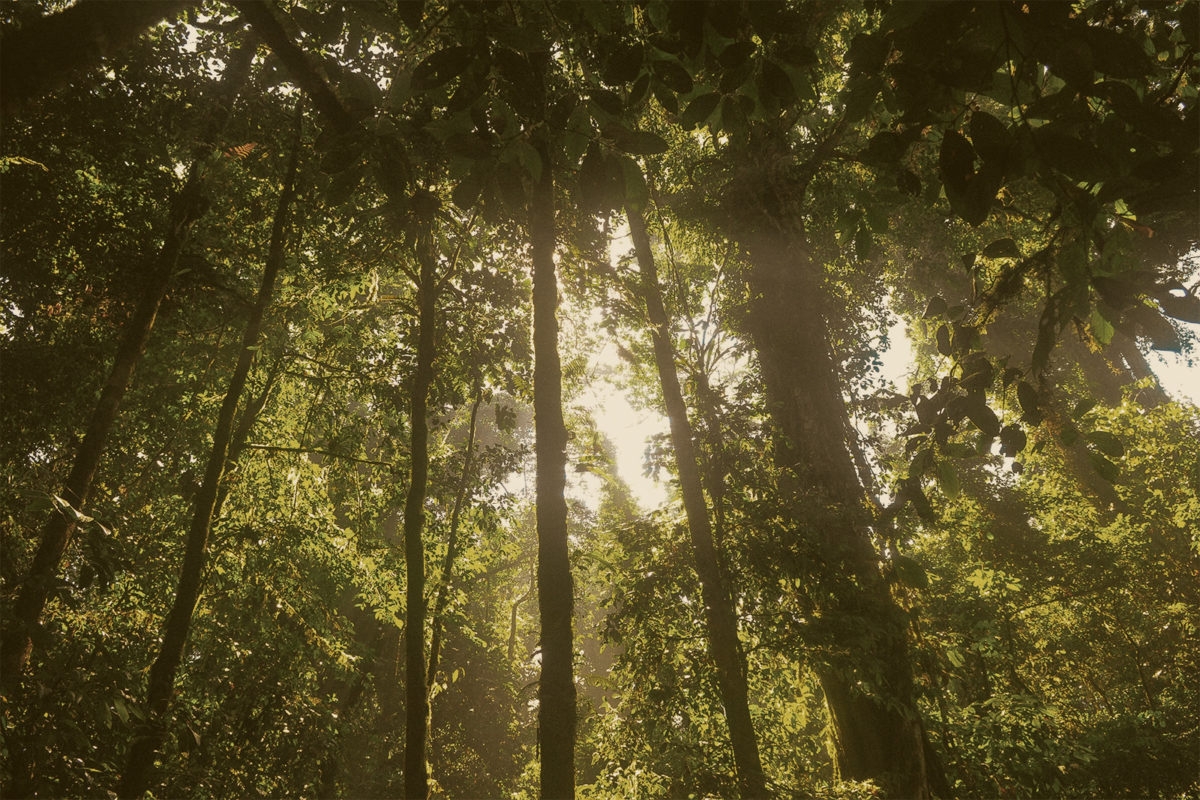 Noah s Ark Animal Sanctuary