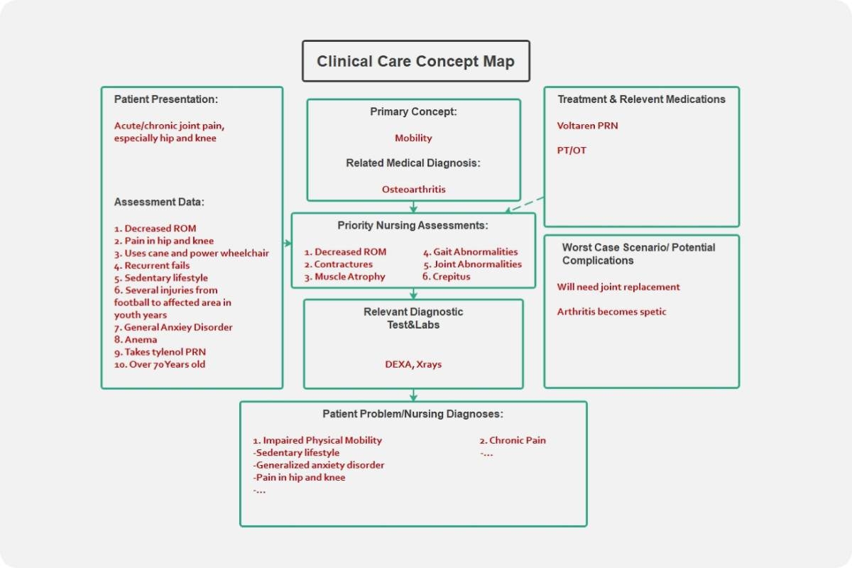 care map template