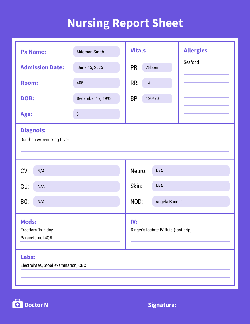 Nursing Report Sheet Template Venngage