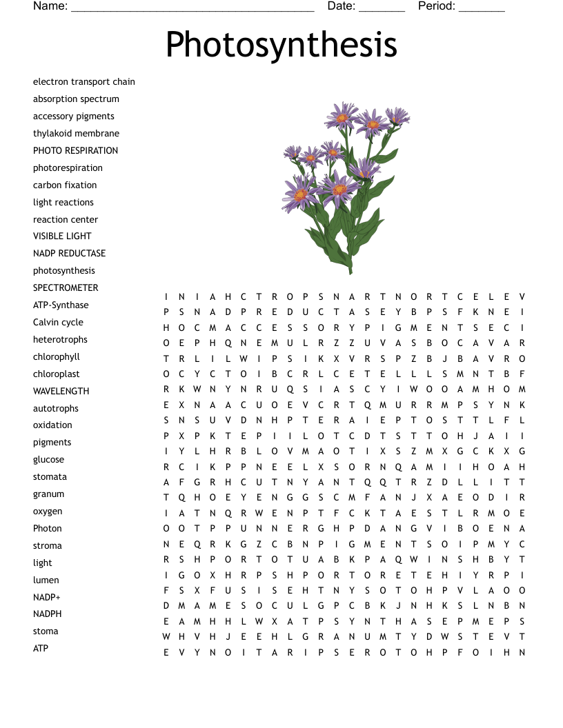 Plant System Word Search WordMint