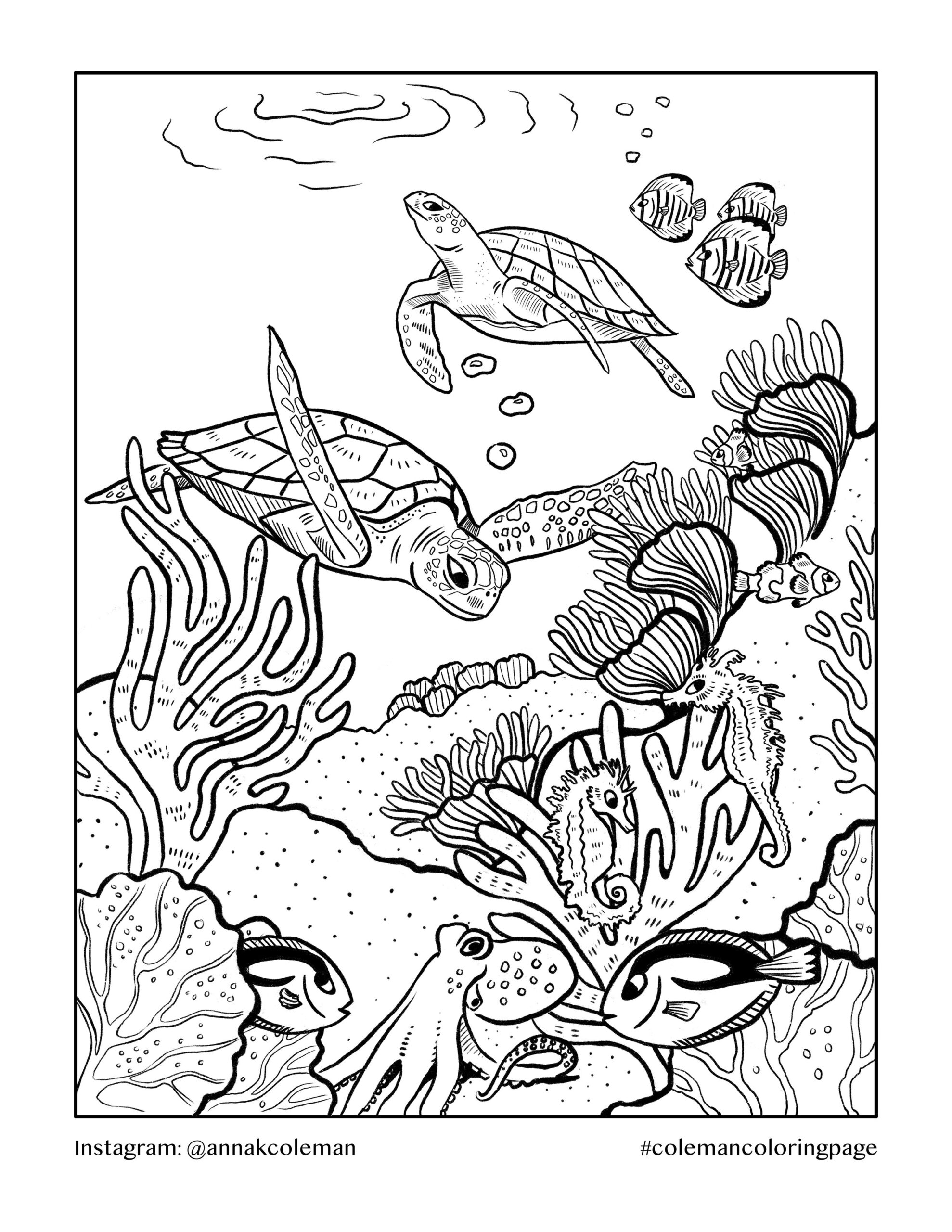 coral reef coloring sheet
