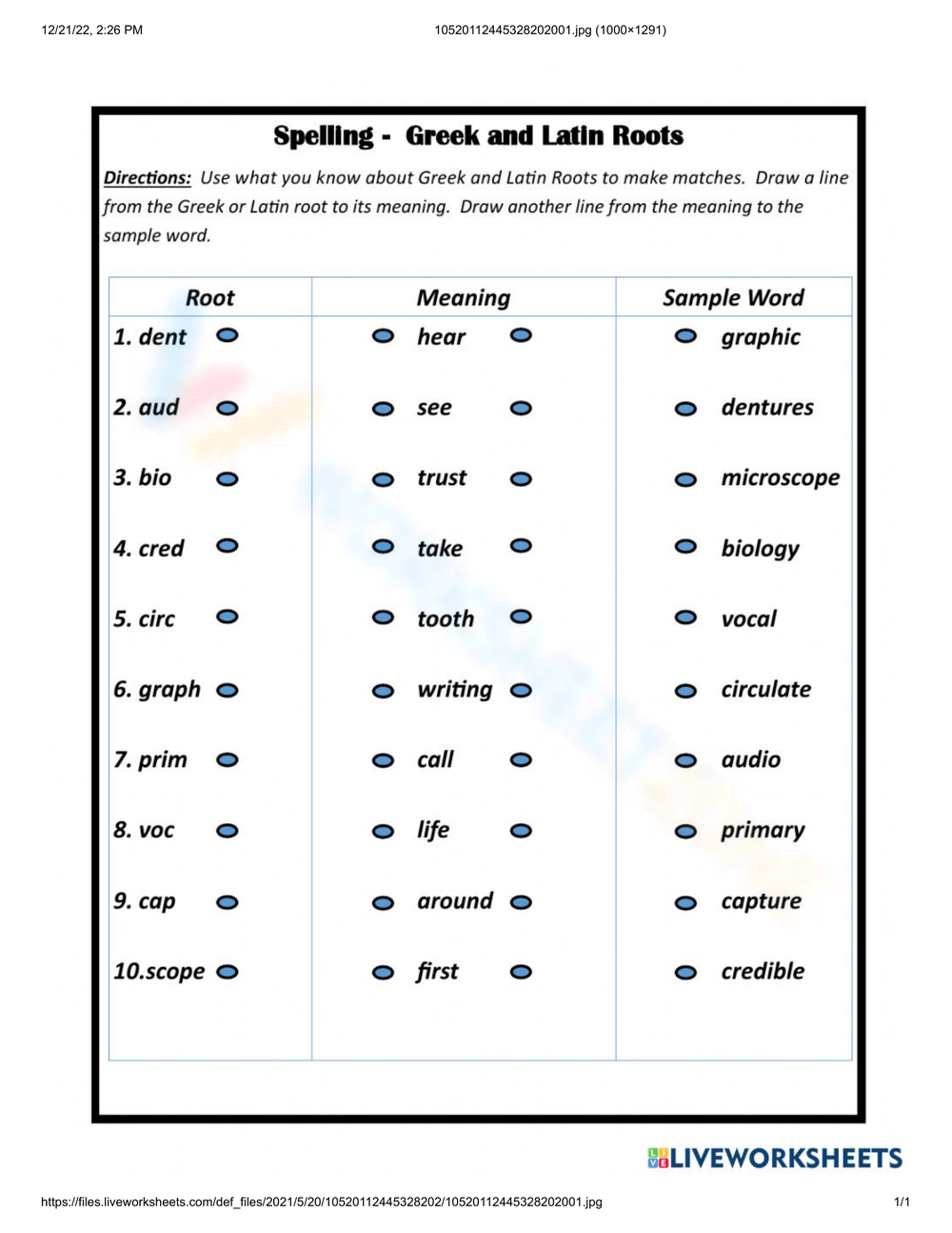 Greek Latin Roots Worksheet