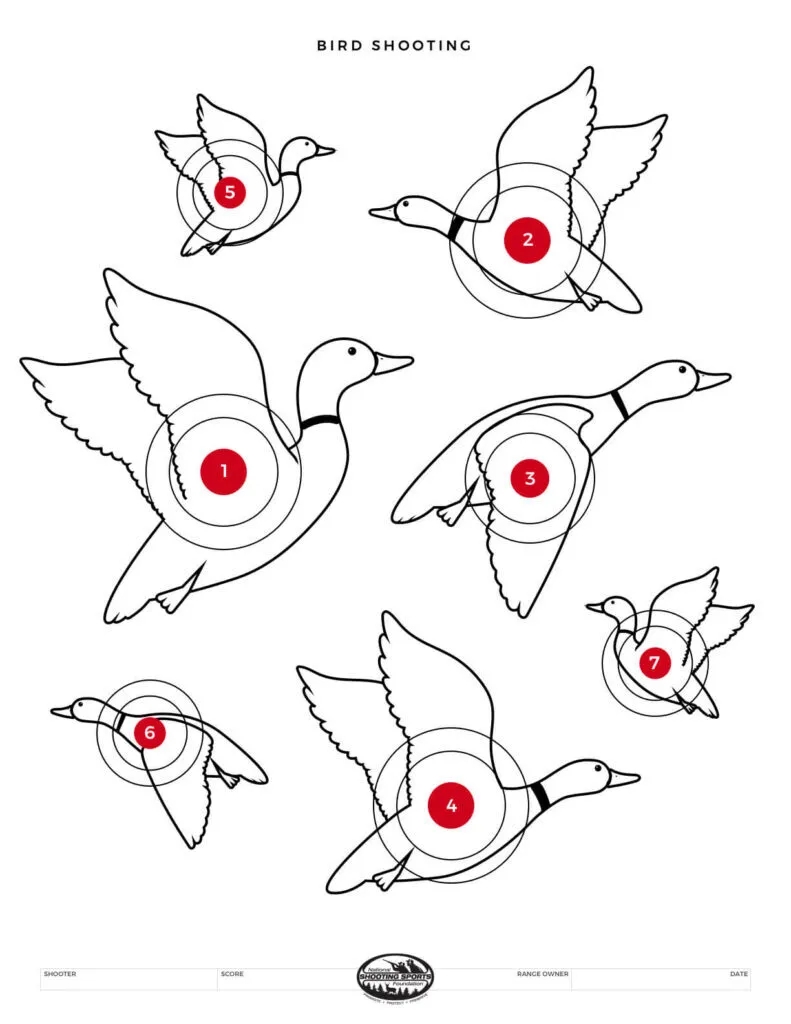 Printable Shooting Targets And Gun Targets NSSF