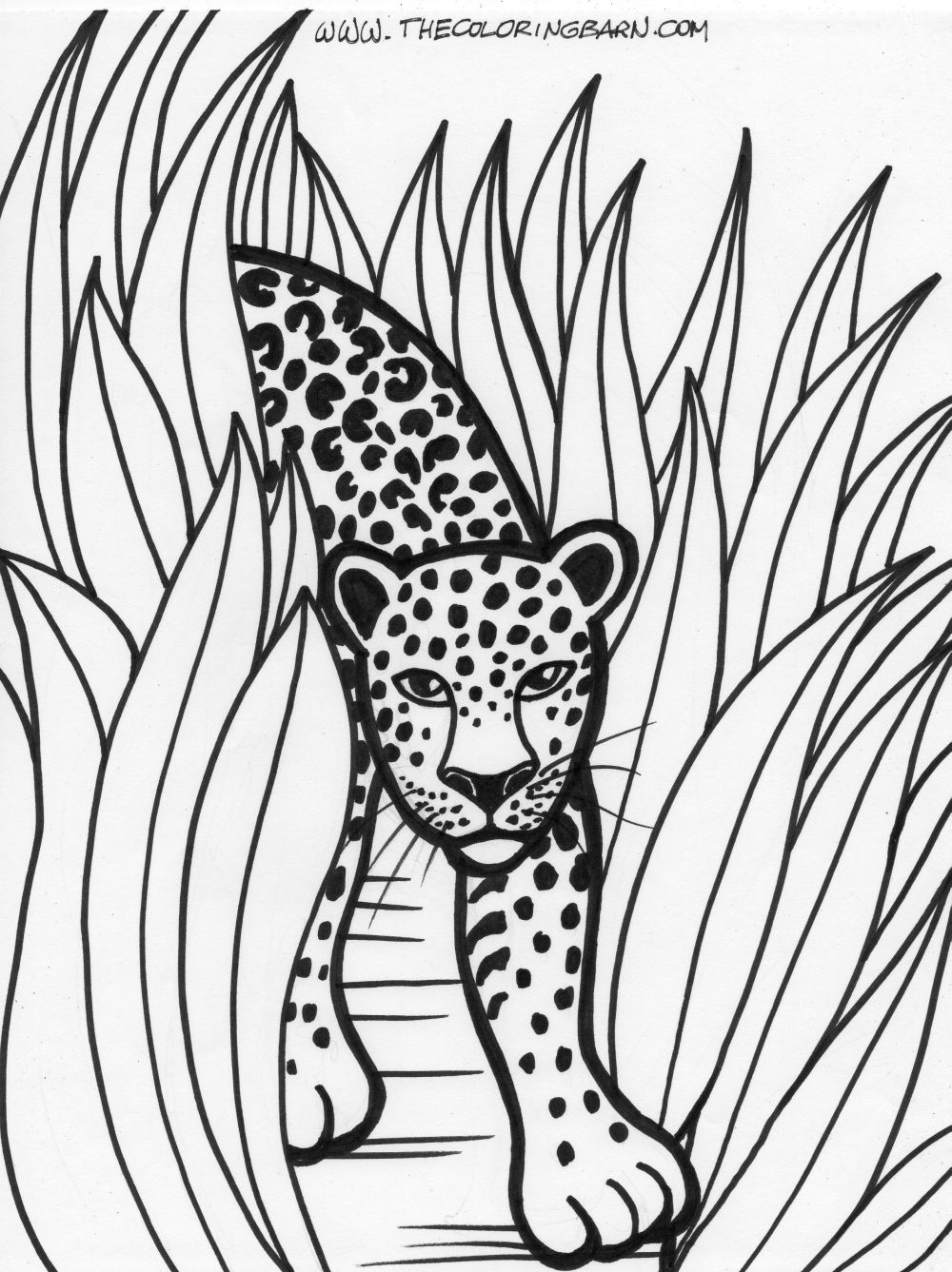 coloring pages of rainforest animals free printable