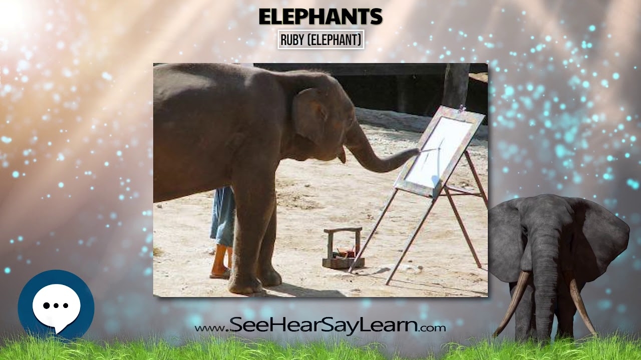 Ruby Elephant All Things Elephants YouTube