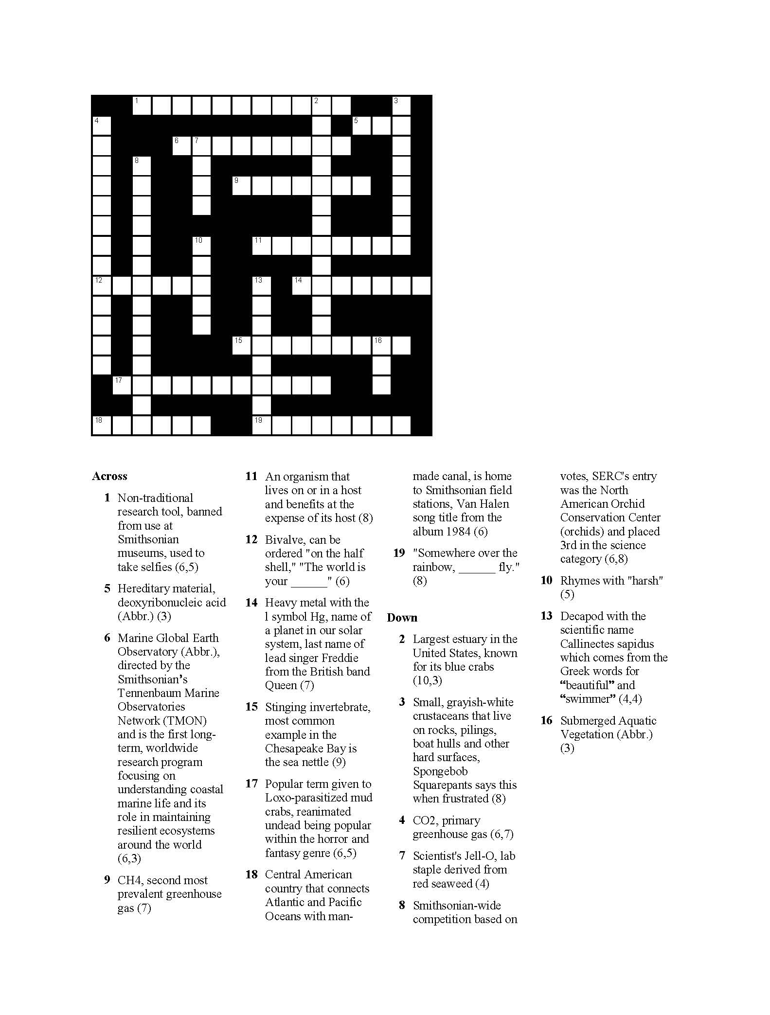 estuary crossword puzzle clue estuary crossword puzzle clue
