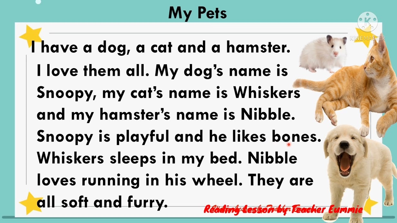 Short Story For Grade 3 With Comprehension YouTube Short Story For Grade 3 With Comprehension YouTube