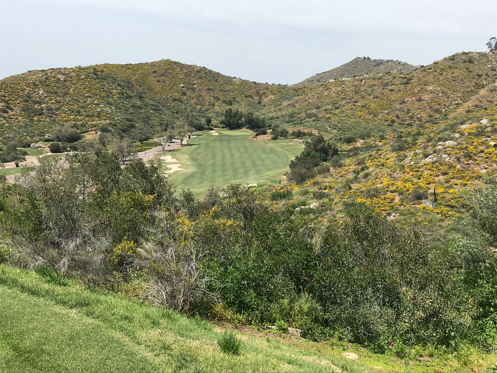 Steele Canyon Golf Club Information Tee Times Golf Trips 