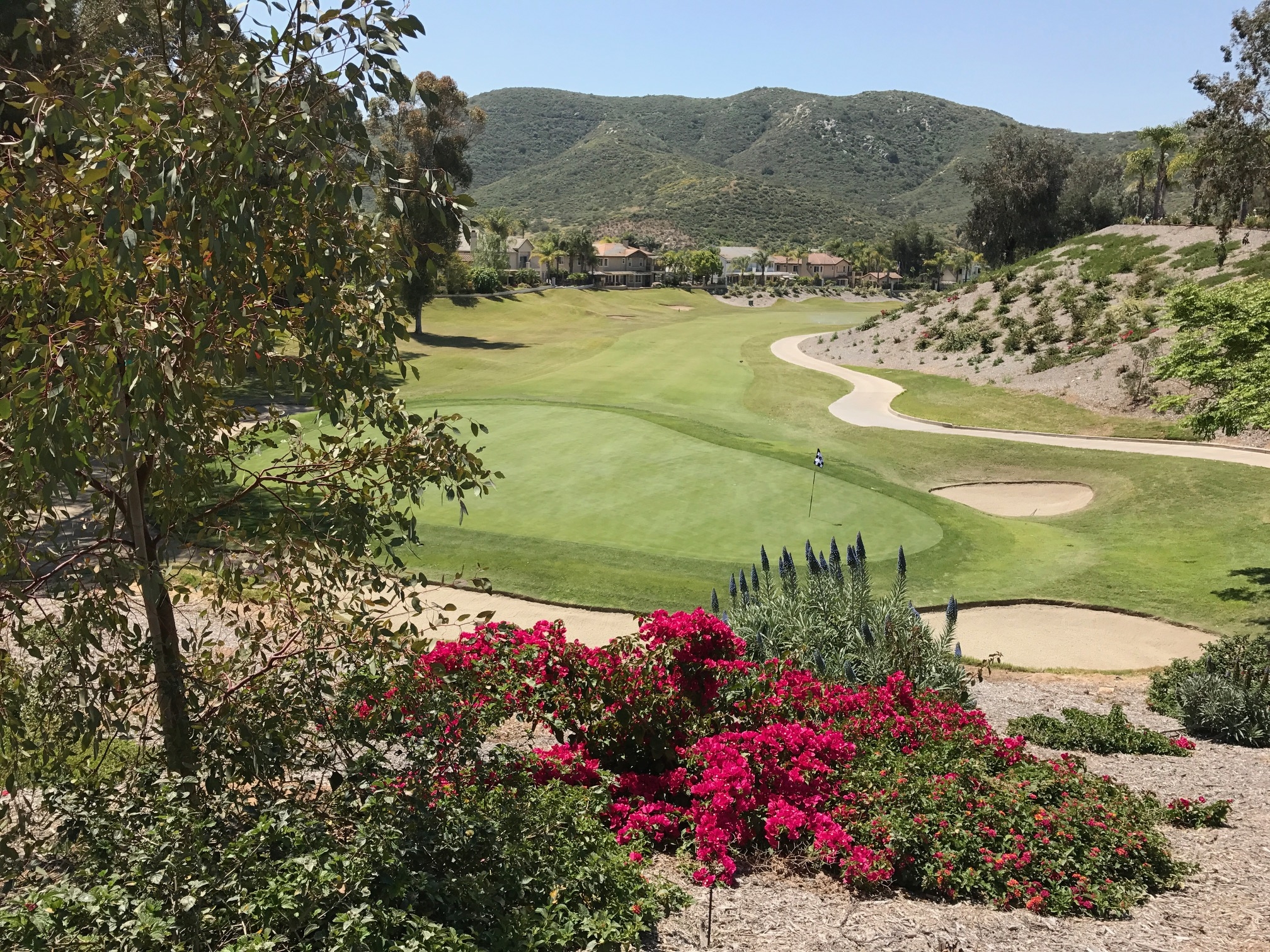 steele canyon golf club