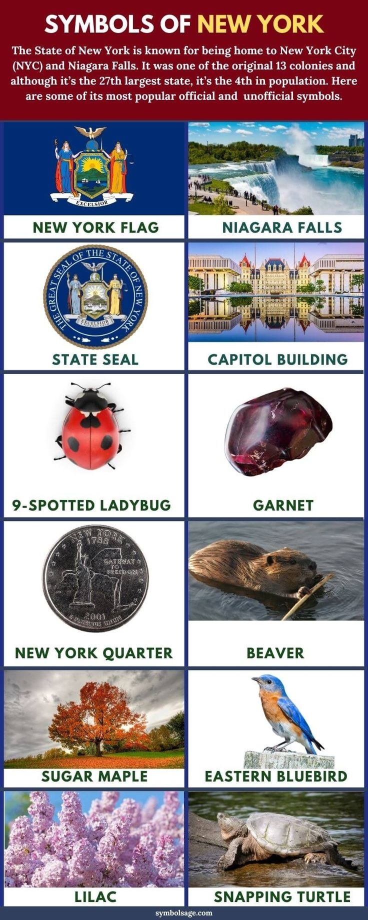 Symbols Of New York A List Symbol Sage
