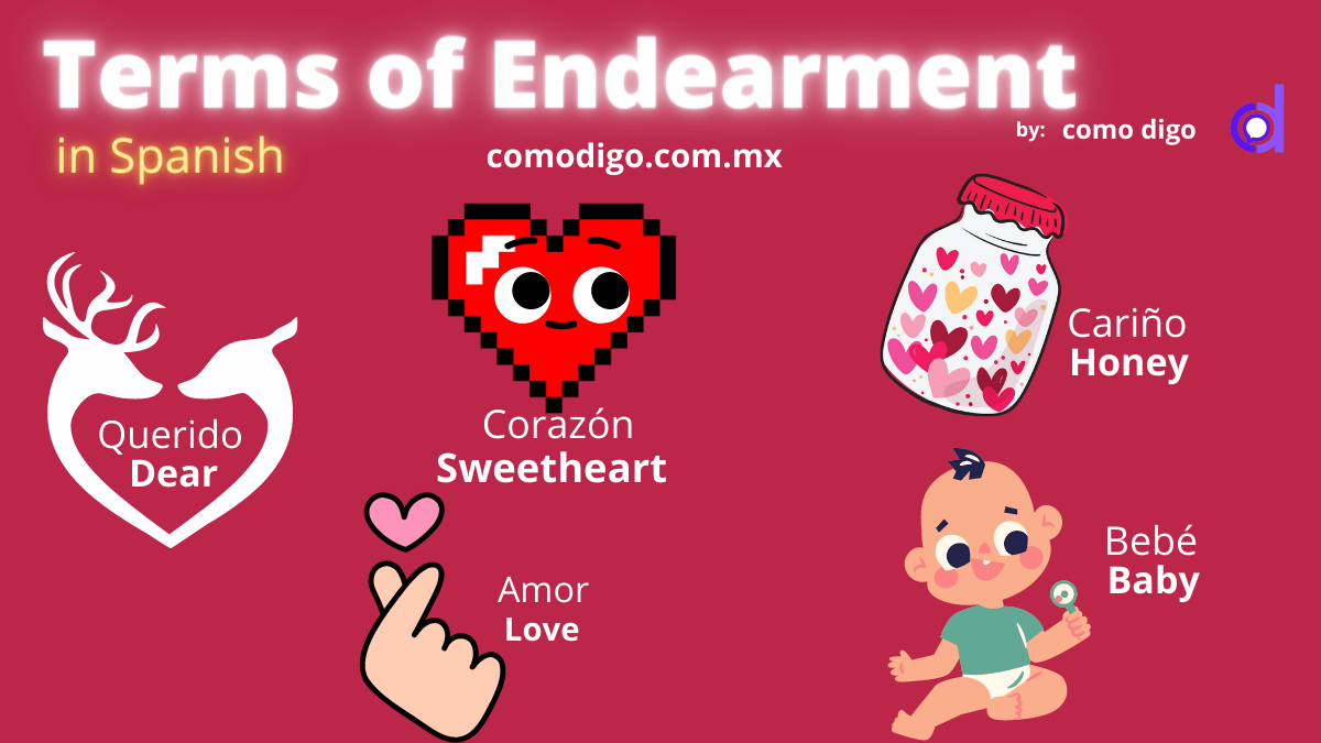 Terms Of Endearment In Spanish video Included 