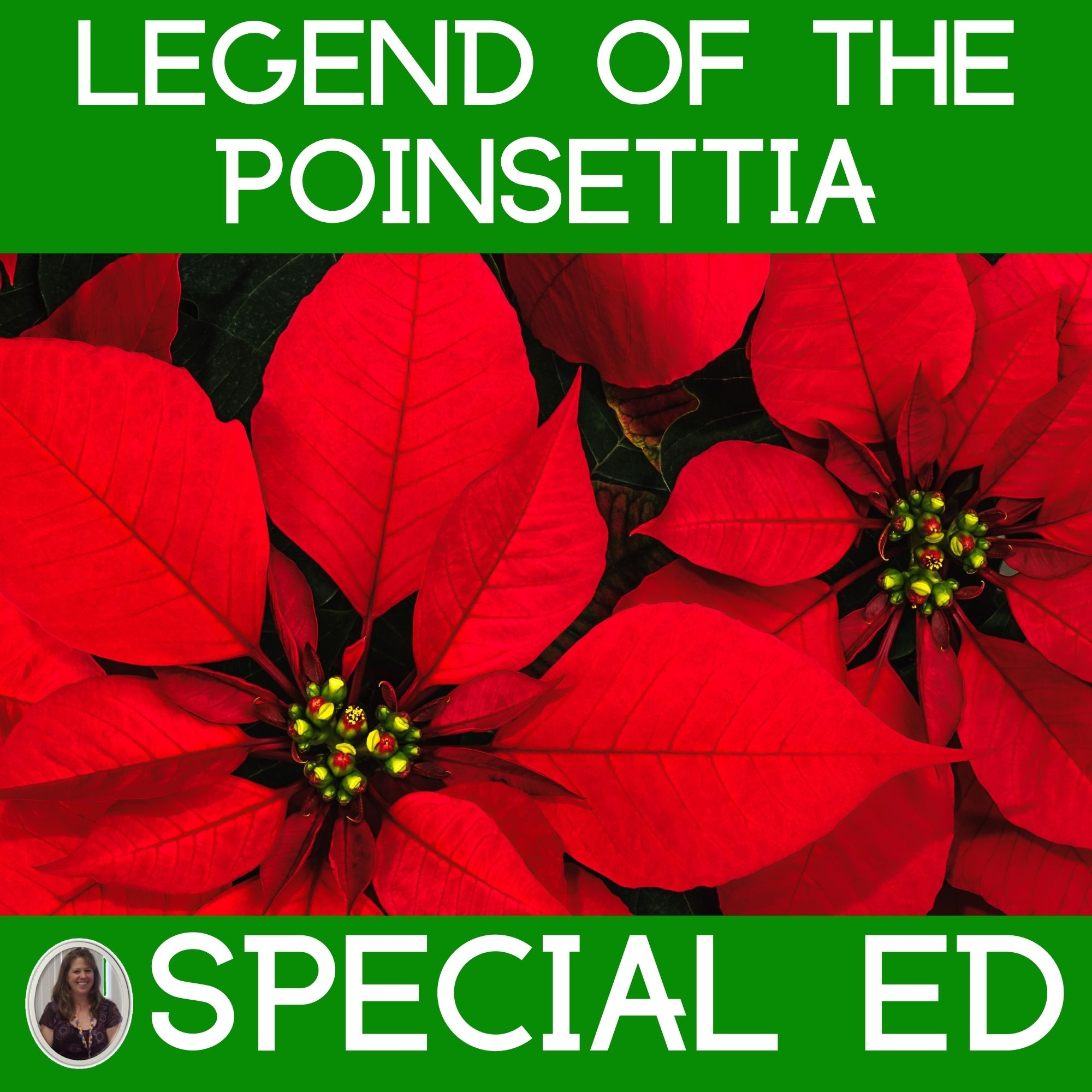 legend of the poinsettia legend of the poinsettia