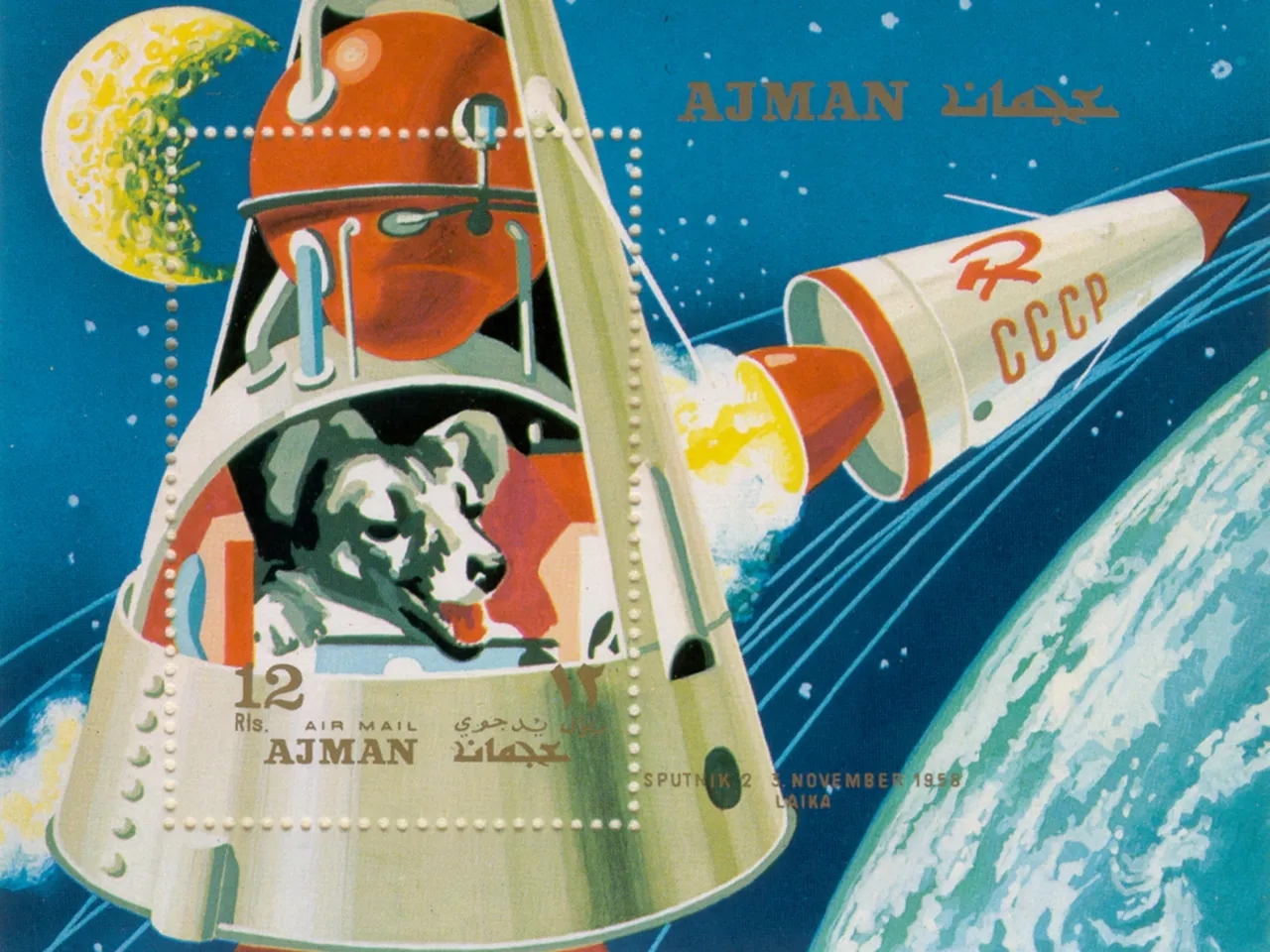 The Sad Sad Story Of Laika The Space Dog And Her One Way Trip Into Orbit