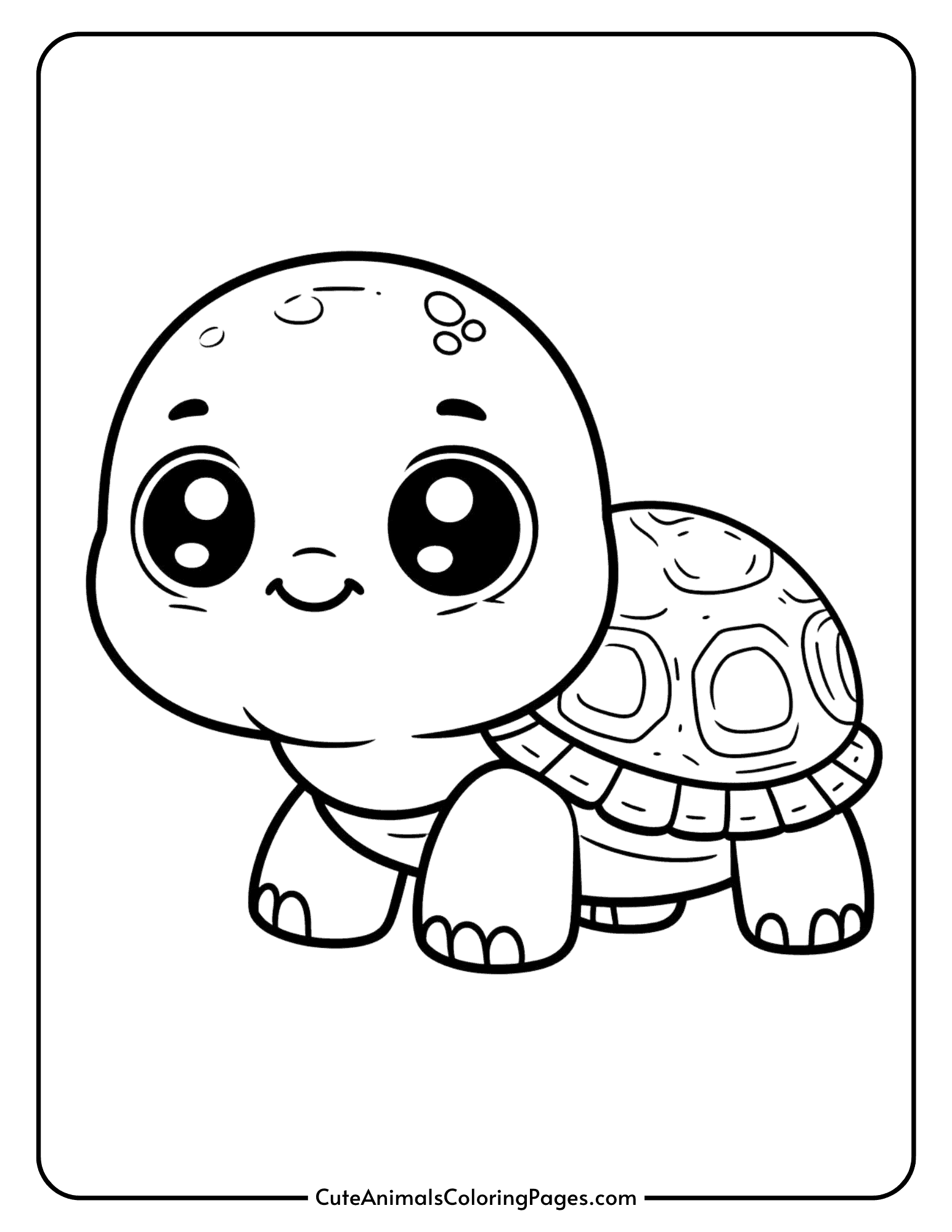 turtle coloring pages printable turtle coloring pages printable