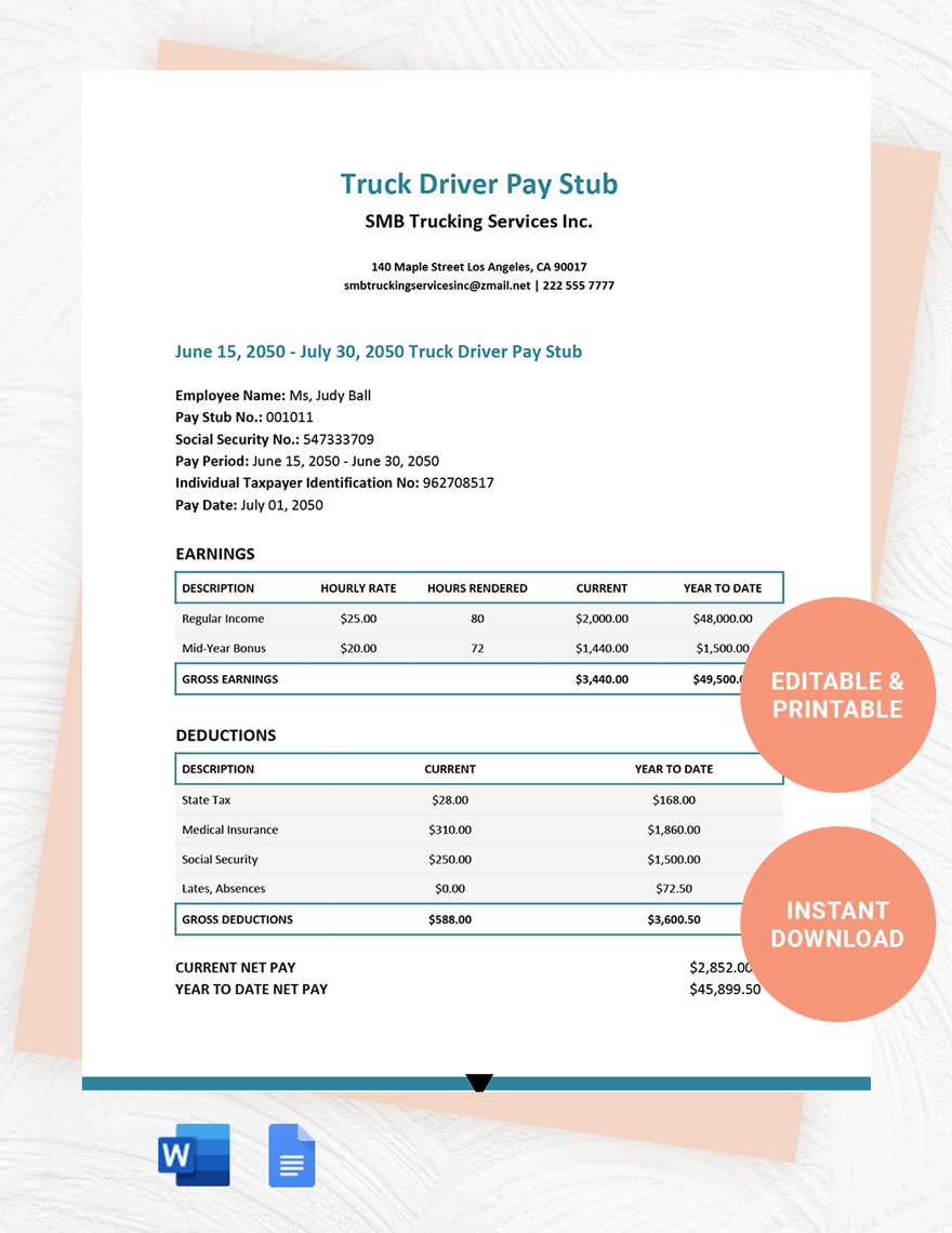 Truck Driver Pay Stub Template In Google Docs Word Pages Download Template