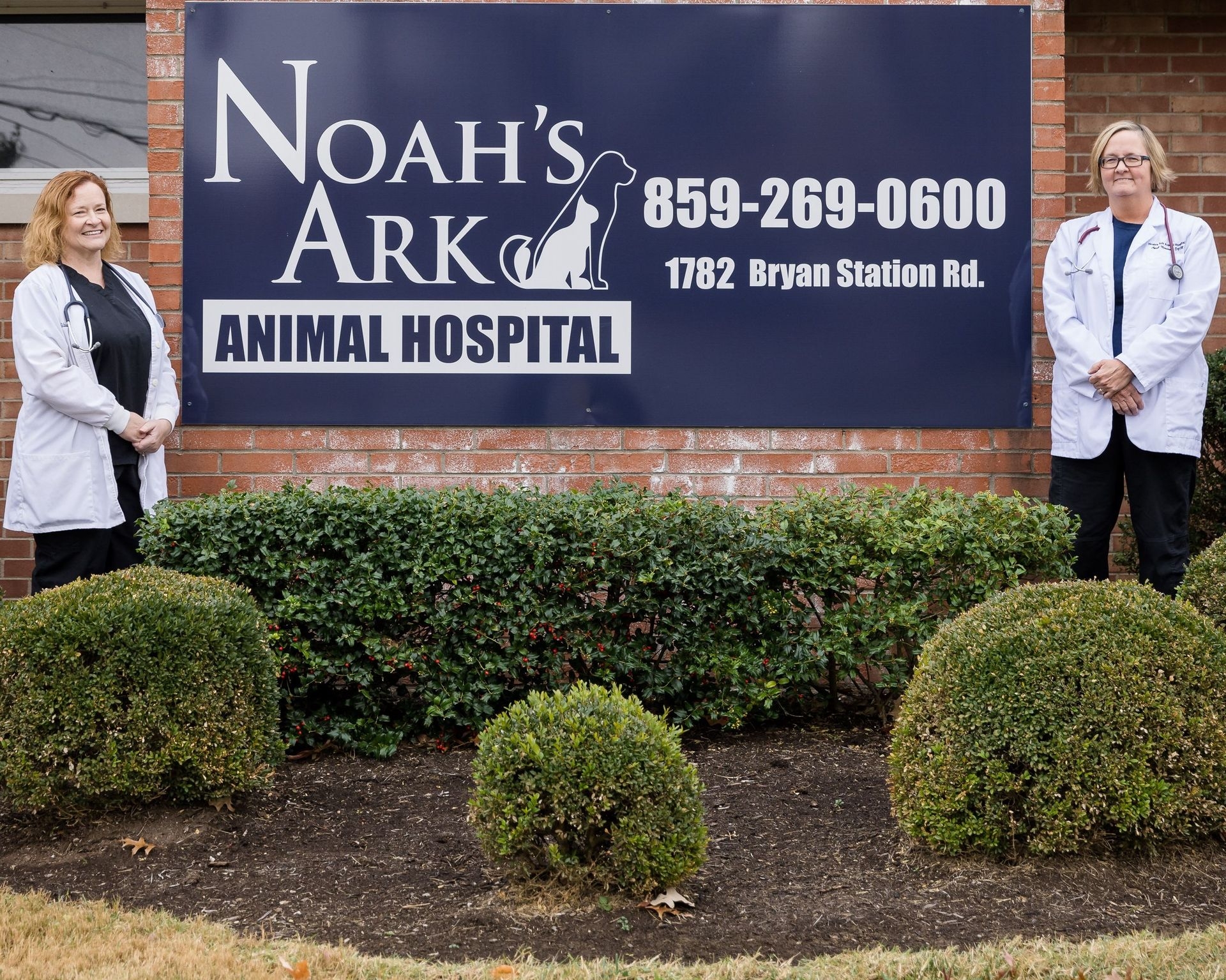 Veterinarian Services Noah s Ark Animal Hospital Lexington KY
