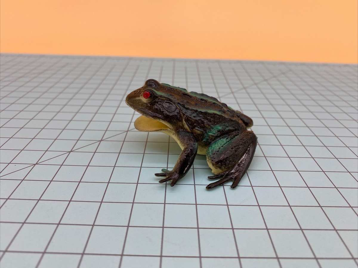 goliath frog for sale