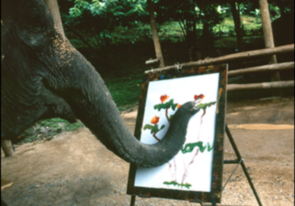 Ruby The Elephant Paintings