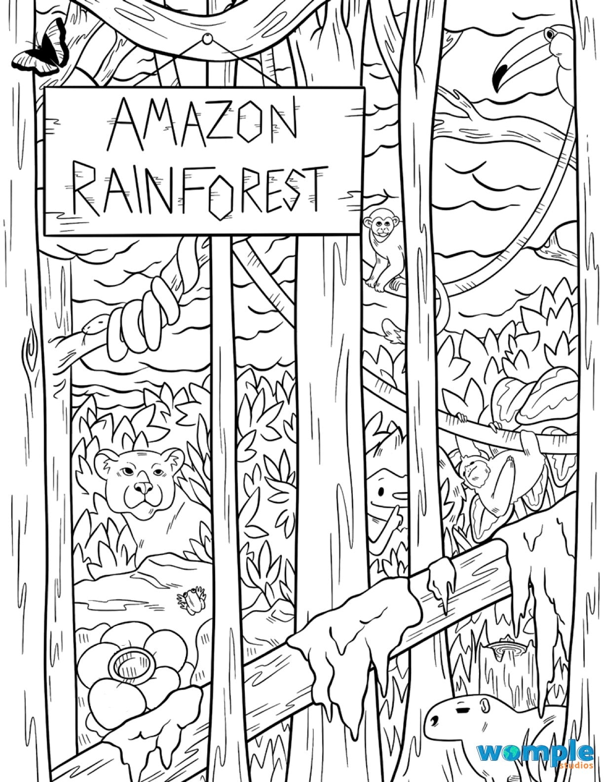 Womple Studios Amazon Rainforest Hidden Picture Worksheets Library